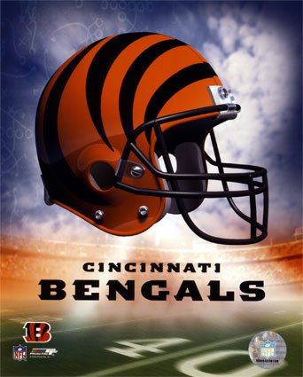 [Bengals-Helmet-Logo-'04-Photofile-Photograph-C10141380.jpeg]