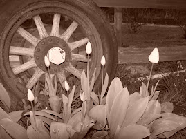 Old Wagon Wheel and flowers