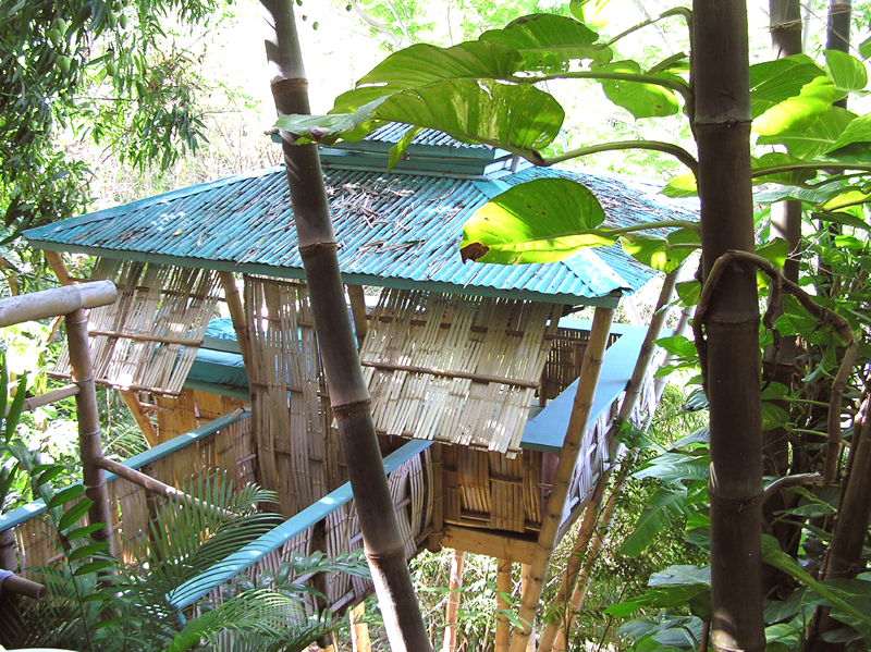 [bamboo+tree+house.jpg]