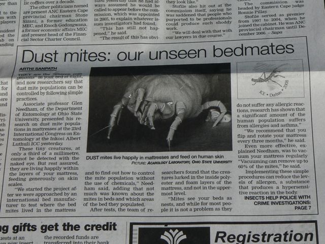 [Durban+Newspaper+on+mite+project.jpg]