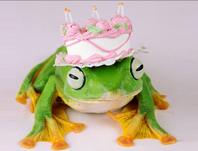 [Happy+Frog.jpg]