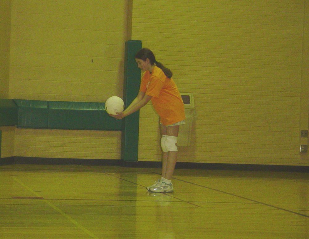 [volleyball+02.jpg]