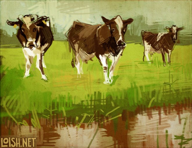 [cows.jpg]