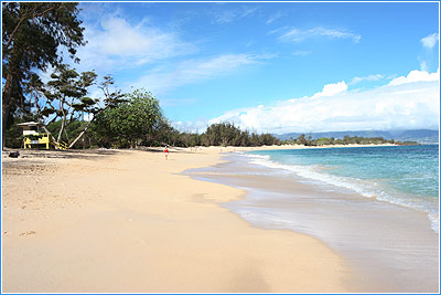 [Maui-Beach1.jpg]