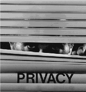 [privacy.jpg]