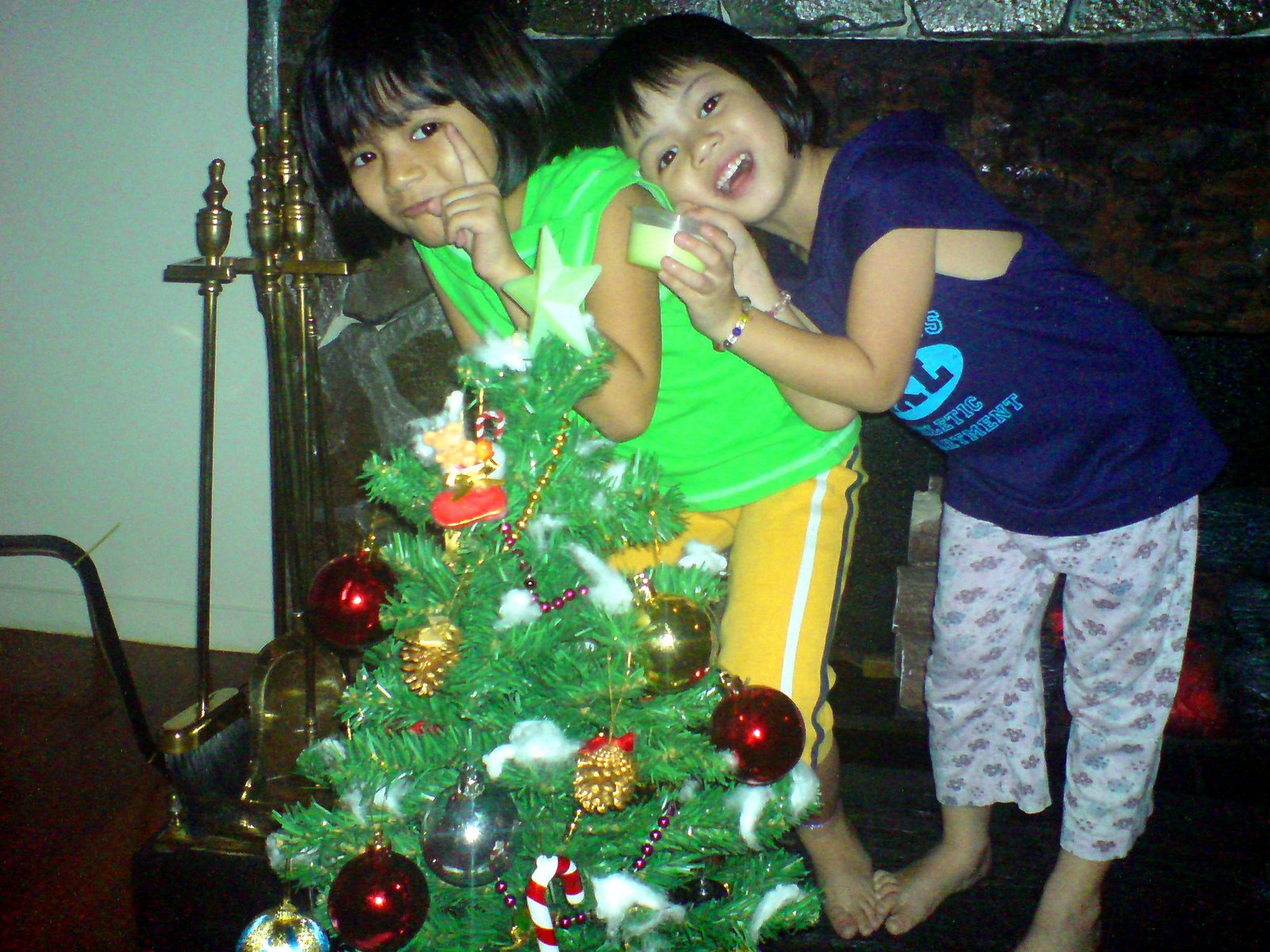 [Anna+&+Icha+Christmas+Tree.jpg]