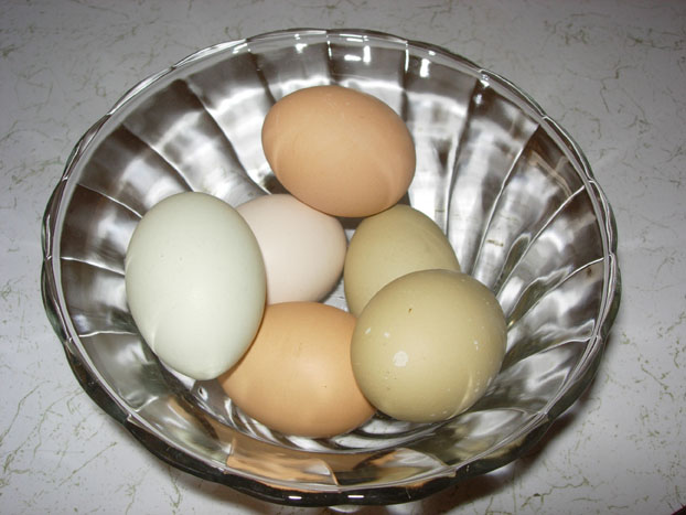 [Easter+Eggs.jpg]