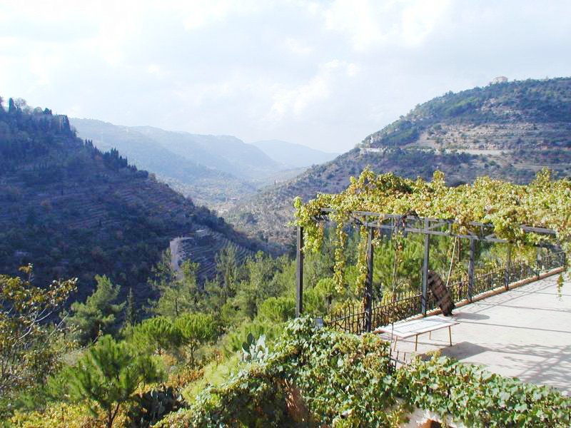 [Lebanon+Photo+-+view+of+mountains+&+grape+vines+on+a+trellis.jpg]