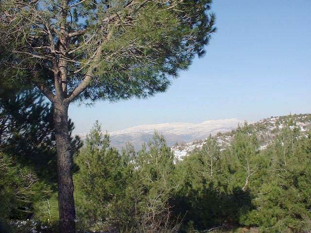 [lebanon.lebanon.mountain.038.jpg]