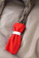 close-up of dog wearing a fleece winter bootie