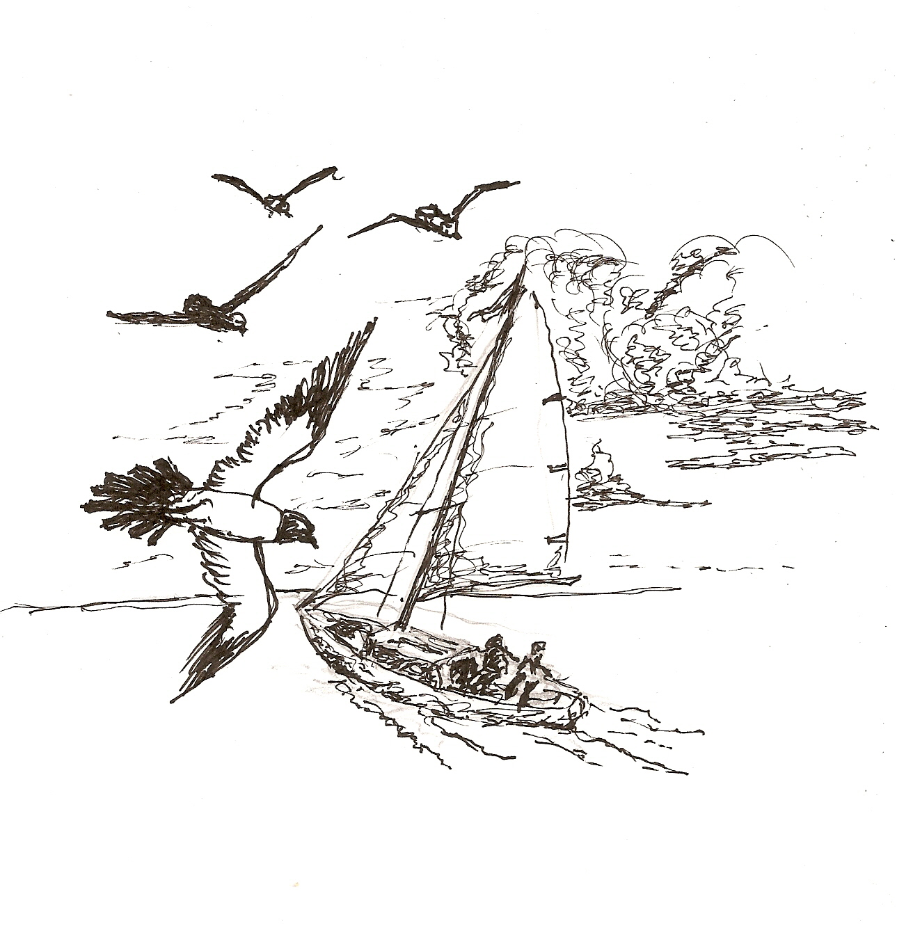 [sailboatand+Gulls.jpg]