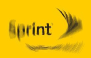 [Sprint_nextel_true_logo.jpg]
