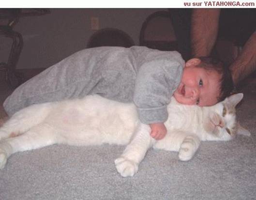 [kitty+baby.jpg]