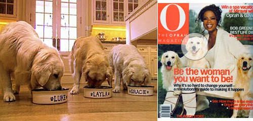 [Oprah+puppies.jpg]