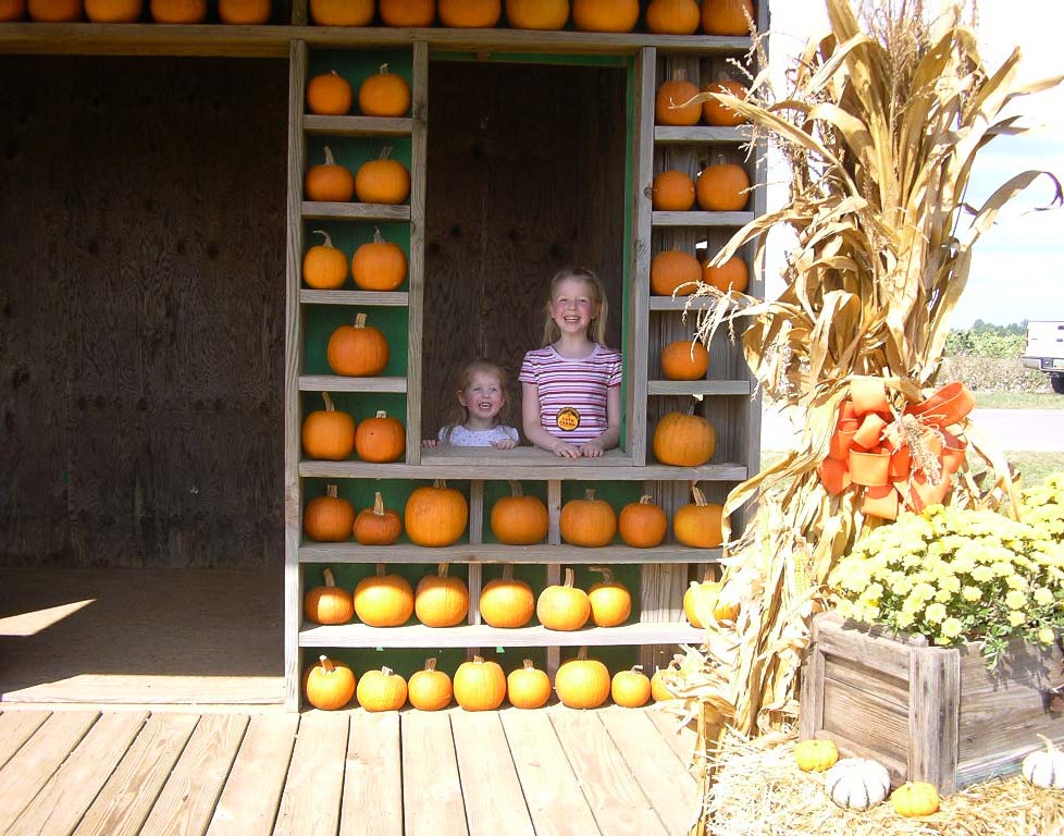 [pumpkin+house.jpg]