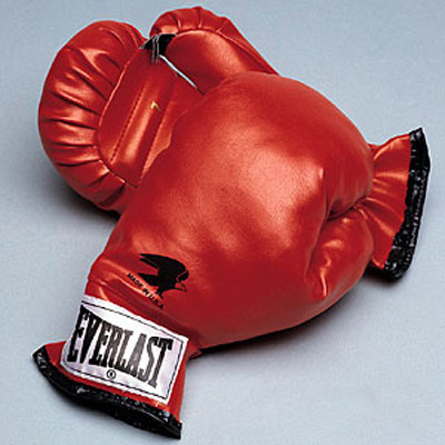 [gloves_everlast_youth_boxing_gloves_a83033.jpg]