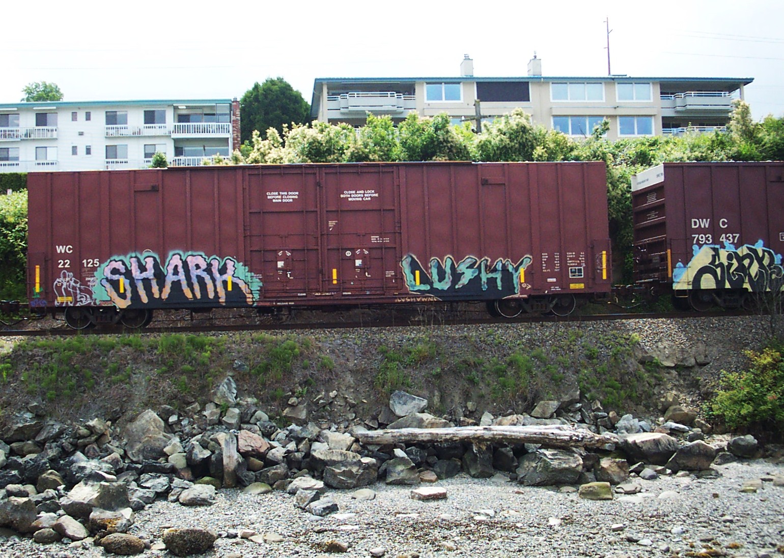 [05+Taylor+Dock+Walk+Freight+Train+Grafiti.JPG]