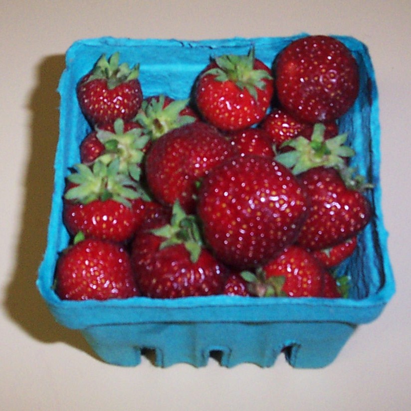 [06+-+Week+3+-+Strawberries.JPG]