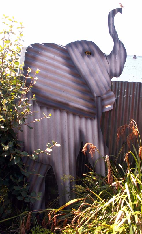 [elephant+-+baby+-+trunk+up+in+garden.jpg]