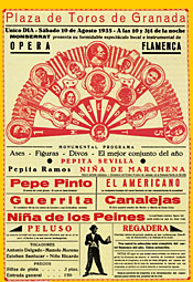 [opera+flamenca.jpg]