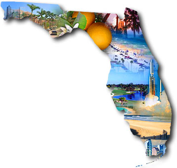 [Florida-montage.jpg]