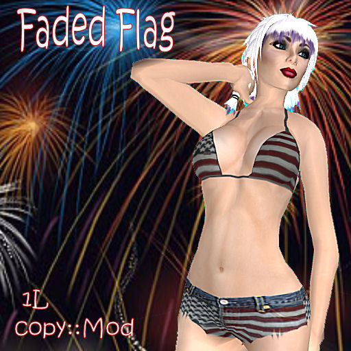 [Faded-Flag.jpg]