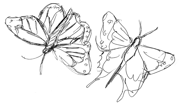 [butterflies.jpg]
