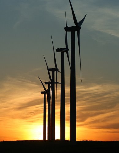 [wind-turbine-blades.jpg]
