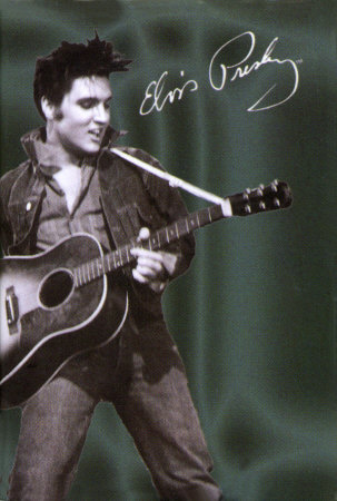 [993919~Elvis-Presley-Guitar-Posters.jpg]