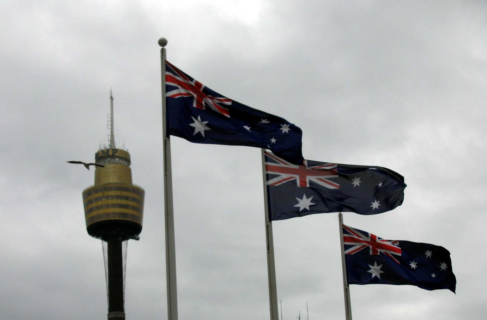 [Aussie-flags.jpg]