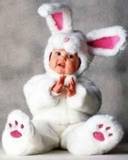 [th_Baby_Rabbit.jpg]