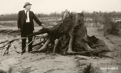Hugh Hammond Bennet, first Chief of the Soil Conservation Service, inspects wind eroded farmland near Ottawa Co., Michigan, 1977. (in the public domain)