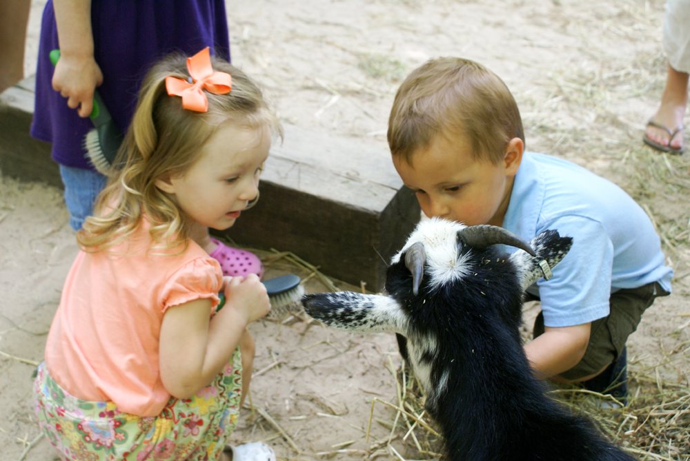 [kids+with+goat.jpg]
