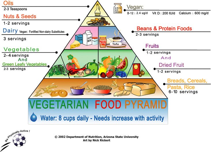 [veg+food+pyramid.bmp]