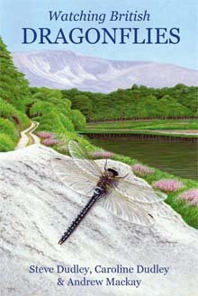 the only dragonfly guide you'll ever need!
