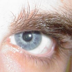[olhos+azuis.bmp]