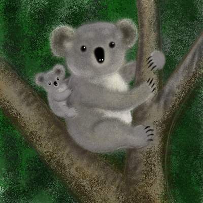[koala.jpg]