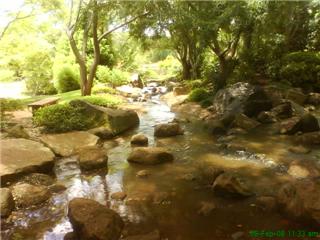 [Japan+garden+river.jpg]