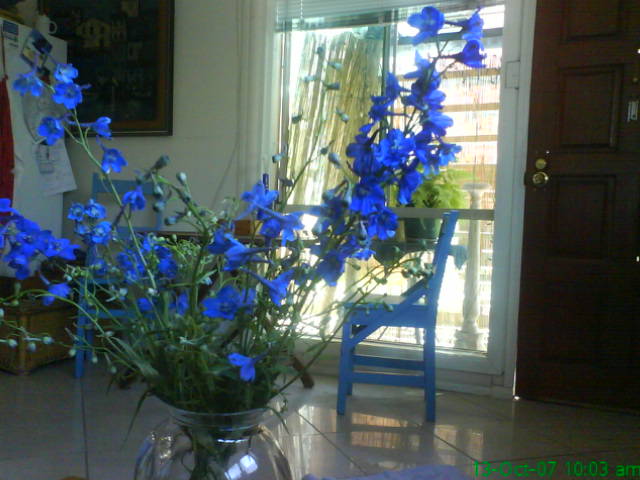 [Aikos+flowers+for+me.jpg]