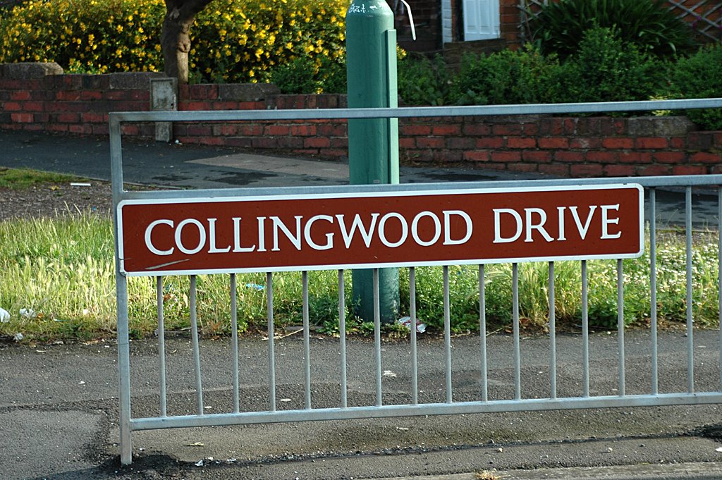 [collingwood+drive+080702.jpg]