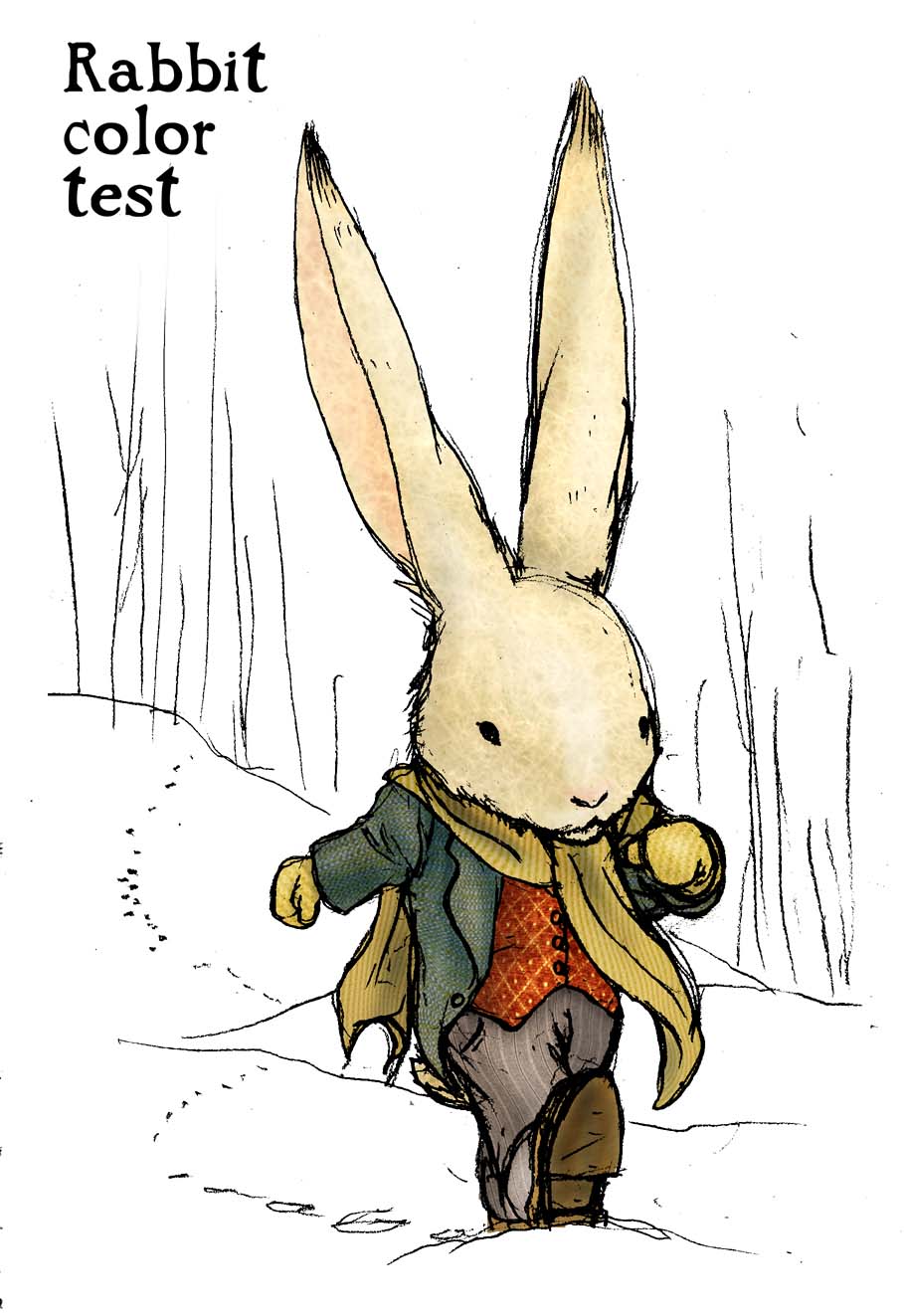 [rabbitcolortest.jpg]