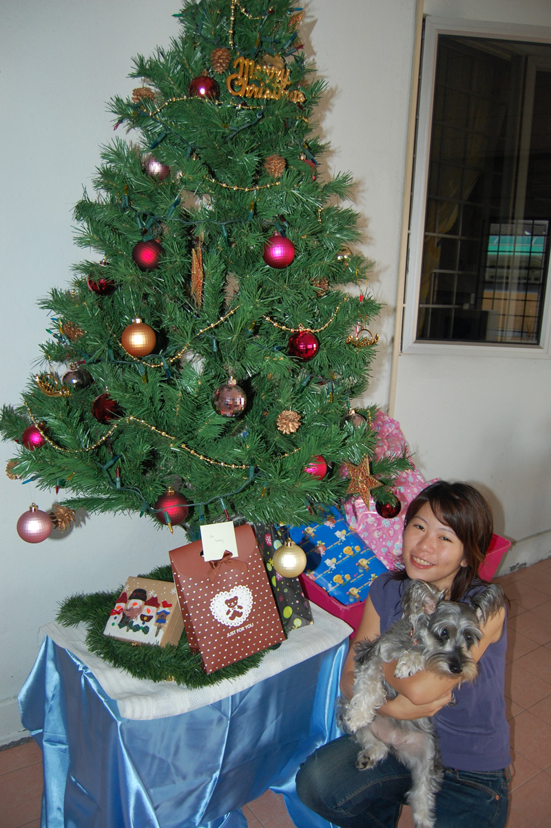 [Nikon_Christmas2007+008.jpg]