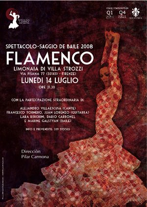 [flamenco.jpg]