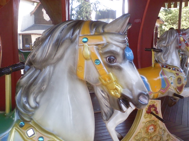 [Carousel+horse.jpg]