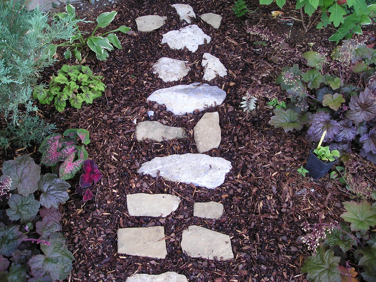 [Shade+Garden+Stepping+Stone+Path+6-2008+002.jpg]