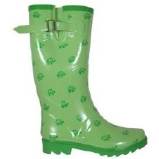 [green-turtles-rubber-boots_7A32CCD8.jpg]
