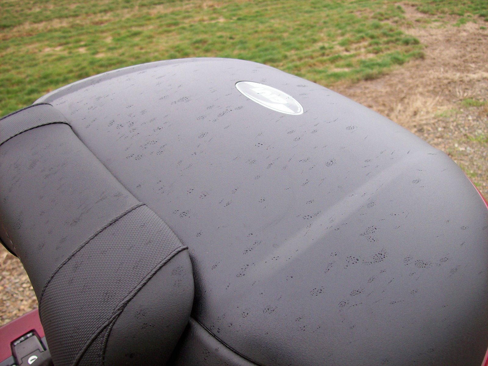[rain+on+trunk.jpg]