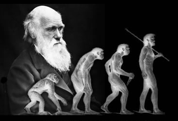[Evolucionismo.jpg]