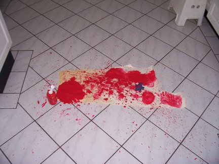 [the+red+paint+incident.JPG]
