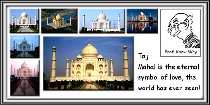 [Taj+Mahal+the+eternal+symbol+of+love.jpg]